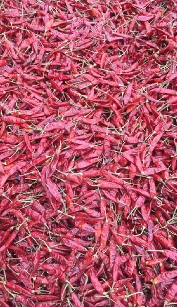 341 Dry Red Chilli, for Cooking, Specialities : Good Quality