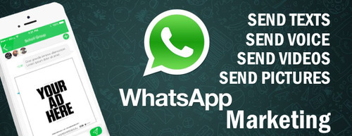 Bulk Whatsapp Services