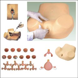 PVC Gynecological Training Simulator, Color : Skin