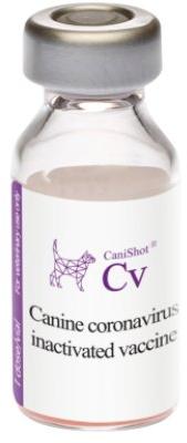 CANISHOT CV (CANINE CORONA VIRUS), for Veterinary, Purity : 100%