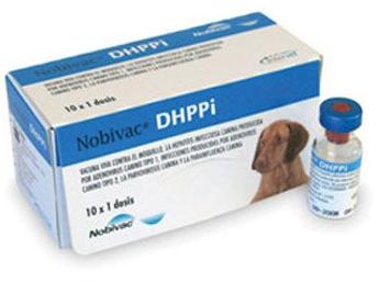 NOBIVAC DHPPI (CANINE DISTEMPER VIRUS+ADENOVI), for Veterinary, Purity : 100%