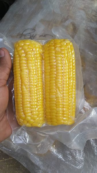 Natural SweetCorn on cob boiled, for Human Consumption, Home, Hotels, Packaging Type : Plastic Pouch