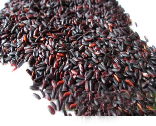 Organic black rice, for High in Protein, Variety : Short Grain