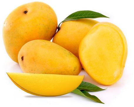 Normal Alphonso Mango