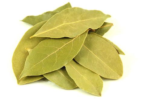 bay leaf