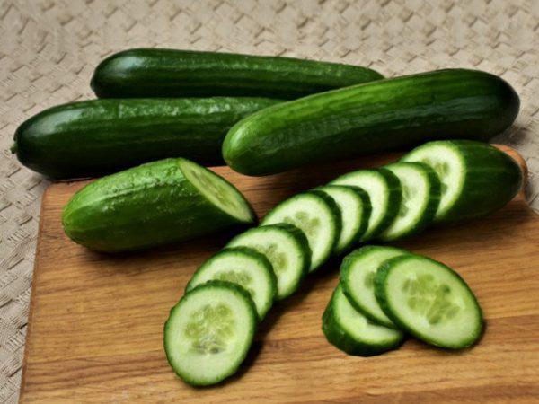 Organic Fresh Cucumber,fresh cucumber, Packaging Type : Plastic Bag