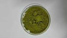 Moringa Oleifera Extract, Style : Dried
