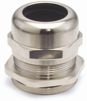 Nickle Plated Brass Cable Gland, Size : PG - 7 to PG – 48
