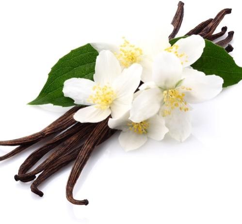 VANILLA OIL