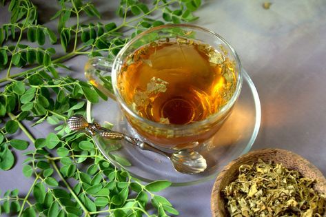 Organic Moringa Tea, Shelf Life : 1years