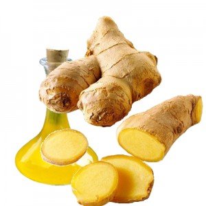 Ginger oil, for Cooking, Certification : ISO 9001-2008 Certified