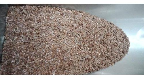 Flax seed, for Ayurvedic, Packaging Size : 1 kg