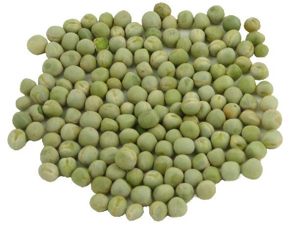 Organic Pea Seeds, Packaging Type : Plastic Packet
