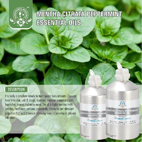 Mentha Citrata Oil