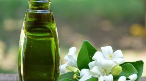 Aroma Shop Bhringraj Extract, for Medicinal, Grade : Pharmaceutical Grade