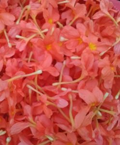 Kanakambaram Flowers