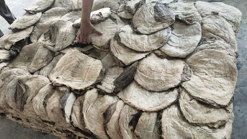 Buffalo Omasum, Packaging Size : 20