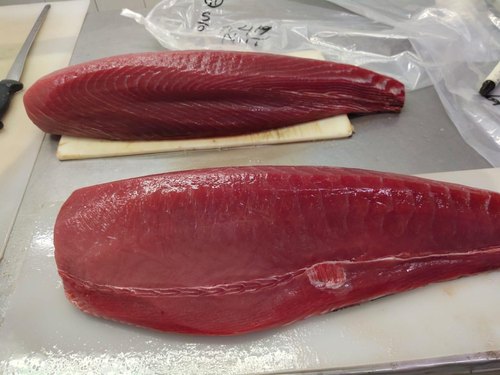 Frozen Tuna Loin, Packaging Type : Thermocol Box