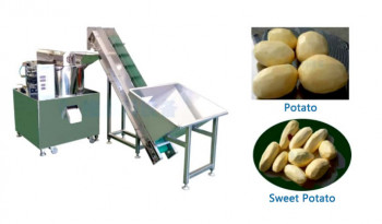 Sweet potato peeling machine