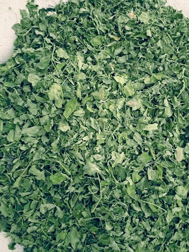 Green High Grade Moringa Dried Leaves, for Cosmetics, Medicine
