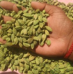 Organic Green Cardamom, for Cooking, Certification : FSSAI Certified