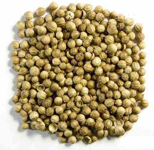Blended Organic Dry Coriander Seed, for Cooking, Spices, Packaging Type : Plastic Packet