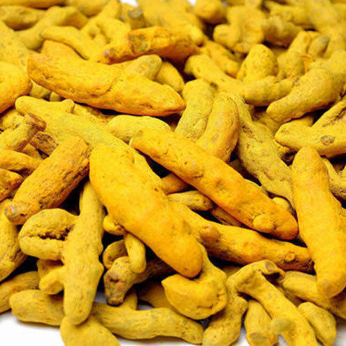 Unpolished Raw Organic Dry Turmeric Finger, for Cooking, Spices, Certification : FSSAI Certified