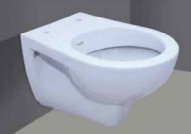 Wall Hung Water Closet with seatcover