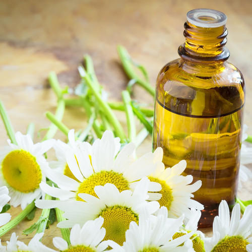 Chamomile Oil