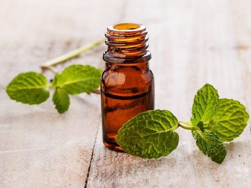 Spearmint oil, for Healing Wounds, Feature : Aroma Fragrance, Promotes Oral Health