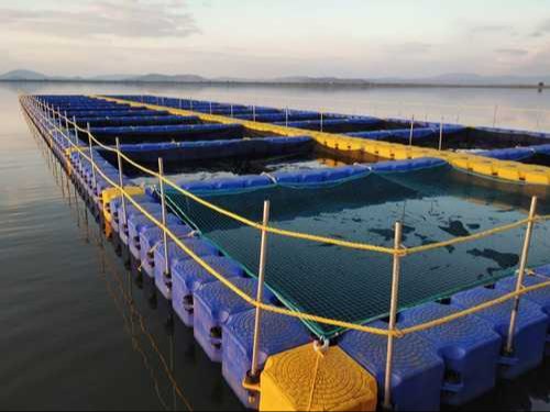 HDPE Aquaculture Cage