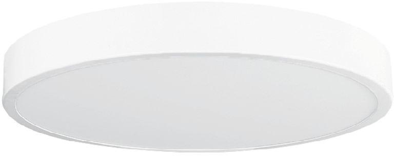 LED Ceiling Light (Pill)