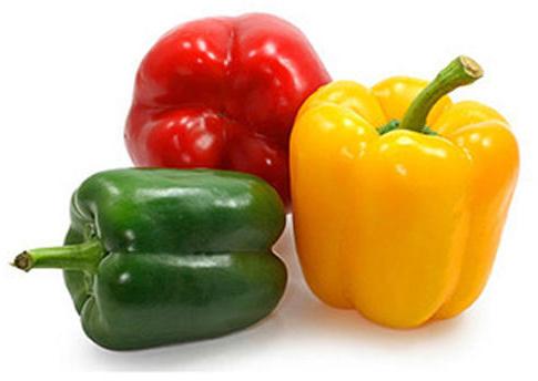 Organic Fresh Bell Pepper, for Cooking, Feature : Dairy Free, Gluten Free