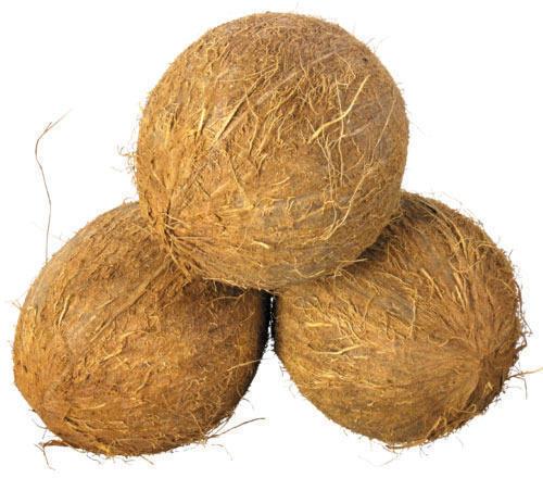 Natural Sun Dry Fully Husked Coconut