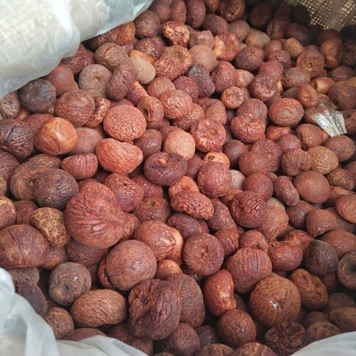Oval Organic Betel Nuts, for Food, Herbal, Form : Solid