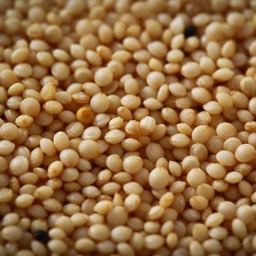 Amaranth Seeds, Seed Type : Natural