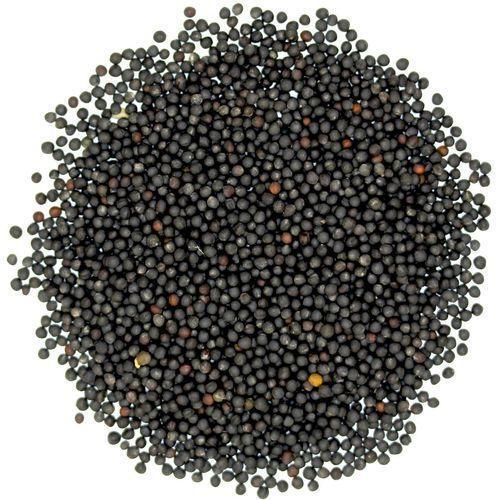 Organic black mustard seeds, for Agriculture, Certification : FSSAI Certified