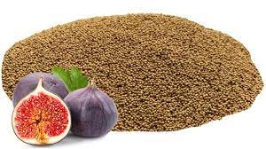 Organic Dried Fig Seeds, for Agricultural, Purity : 100%