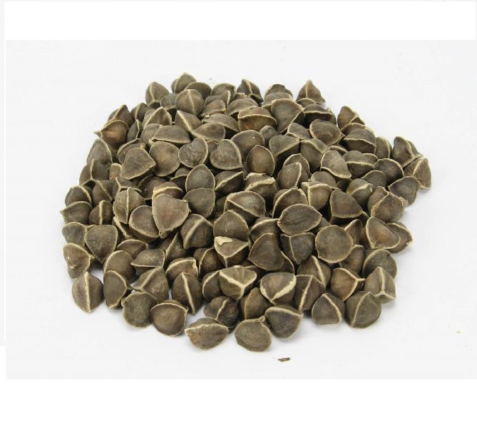 moringa seeds