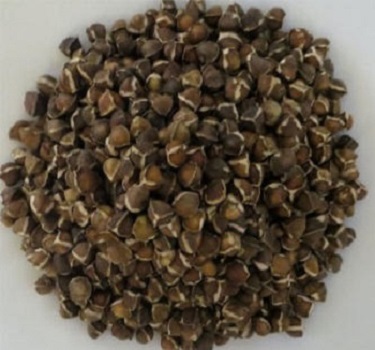 Patchouli Seeds, Style : Dried