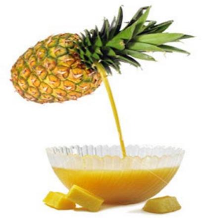 Pineapple Pulp, for Animal Feed, Style : Preserved