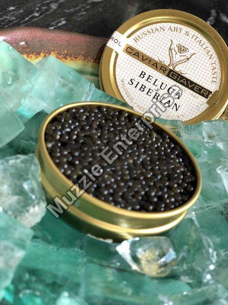 Beluga Caviar, Packaging Type : Pp Bag,Vacuum Pack at best price in ...