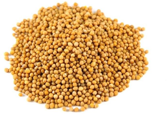 Organic yellow mustard seeds, for Cooking, Certification : FSSAI Certified