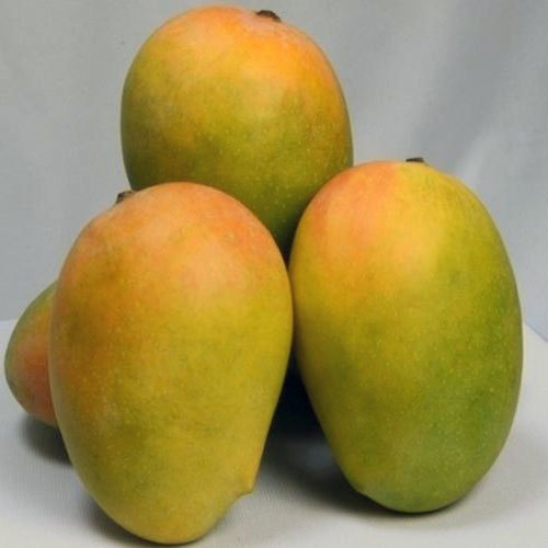 Organic Kesar Mango, for Direct Consumption, Food Processing, Packaging Type : Corrugated Box