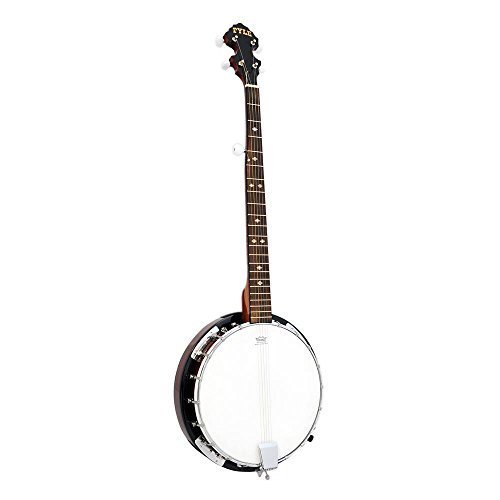 Musical Banjo