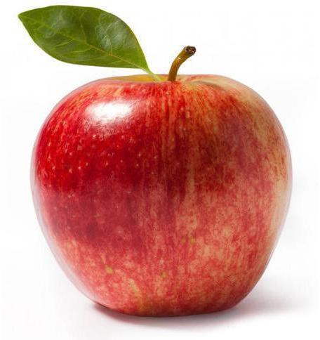Organic fresh apple, Shelf Life : 10 Days