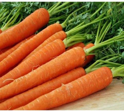 Fresh Carrot