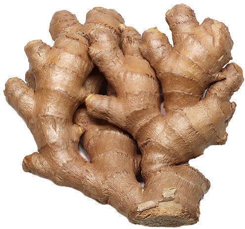 Organic fresh ginger, Packaging Type : Jute Bags, Plastic Packet