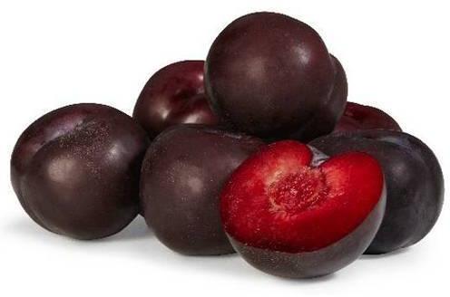 Organic Fresh Plum, Shelf Life : 10 Days