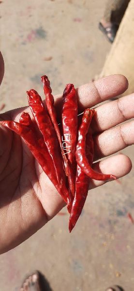 guntur red chilli